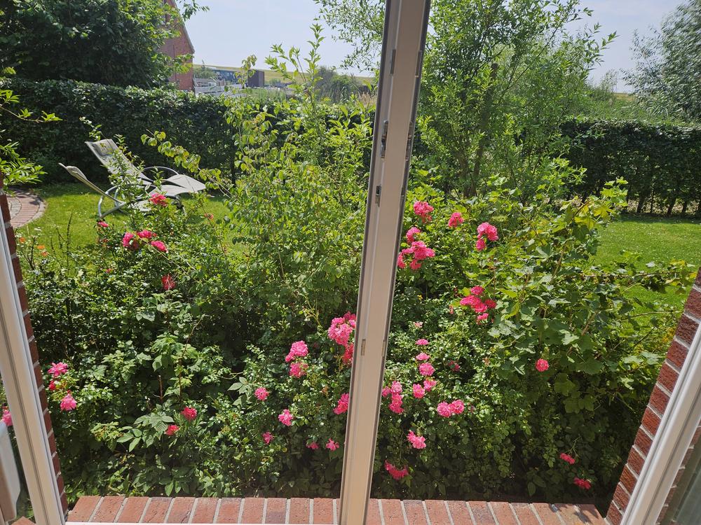 Kinderzimmer mit Rosen in der Wohnung Wintergarten