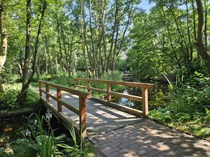 Brücke im Kurpark