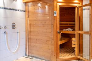 Sauna der Wohnung Wintergarten