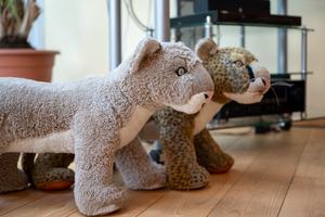 Leo Löwe