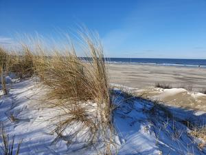 Winterdüne auf Spiekeroog